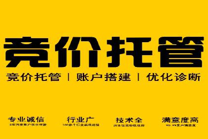 真实案例解析：SEM代运营托管公司的优势与挑战